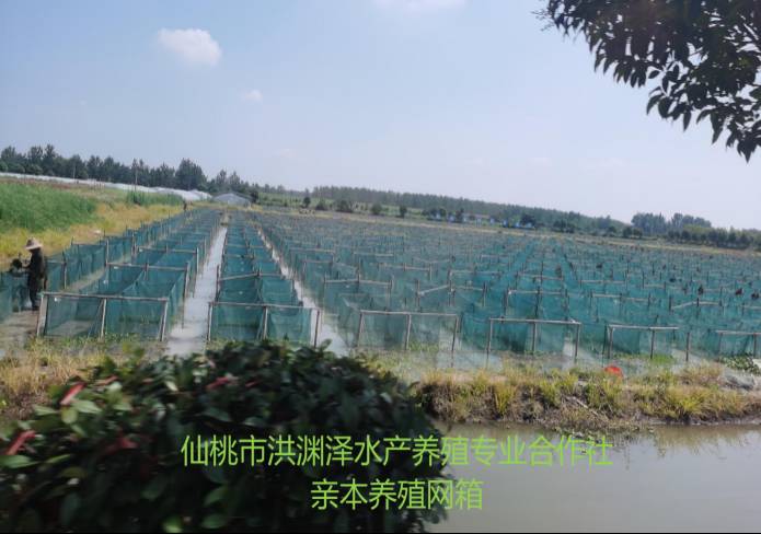 澳门永利·皇宫(中国游)官网入口-Macau App Station